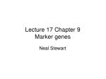 Lecture 17 Chapter 9 Marker genes - slide 1