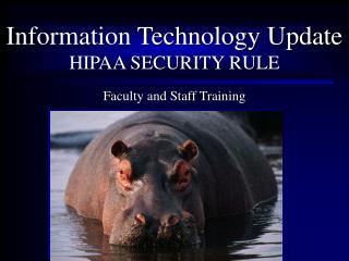 Information Technology Update HIPAA SECURITY RULE