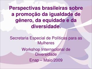 Workshop Internacional de Diversidade Enap – Maio/2009