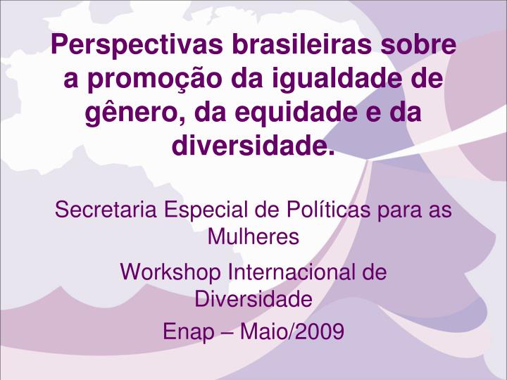 workshop internacional de diversidade enap maio 2009