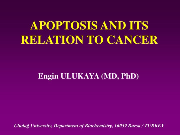 apoptosis and its relation to cancer