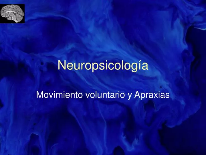 neuropsicolog a