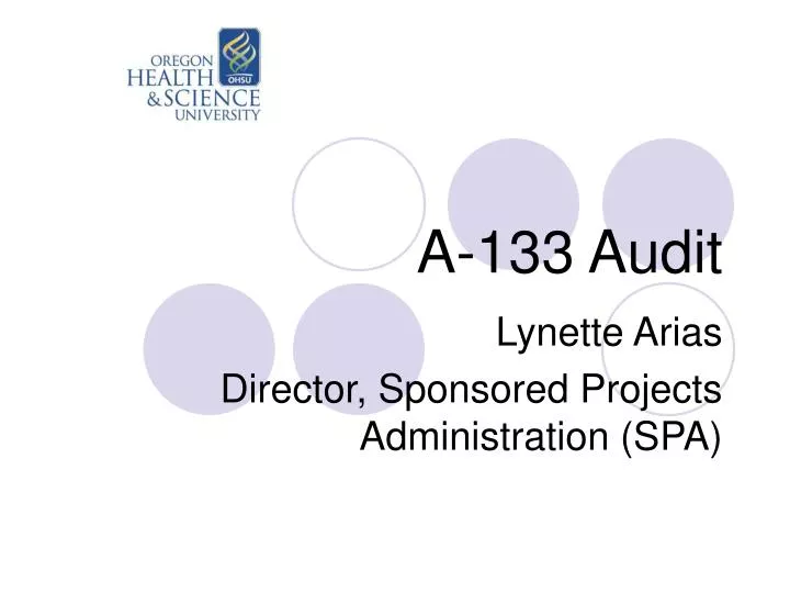 a 133 audit