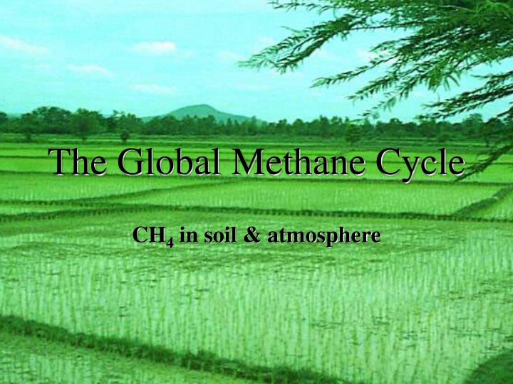 the global methane cycle