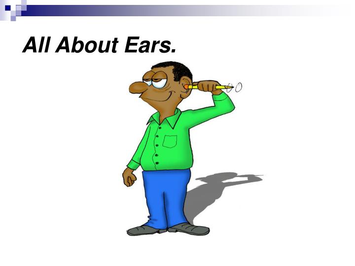 all about ears