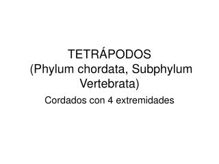 TETRÁPODOS (Phylum chordata, Subphylum Vertebrata)