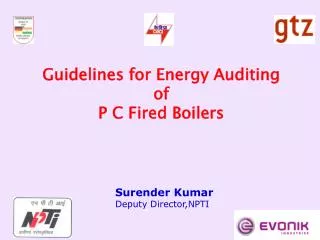 Guidelines for Energy Auditing of P C Fired Boilers