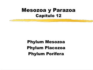Mesozoa y Parazoa Capítulo 12