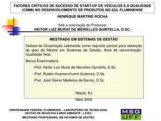 HENRIQUE MARTINS ROCHA Sob a orientação do Professor HEITOR LUIZ MURAT DE MEIRELLES QUINTELLA, D.SC.