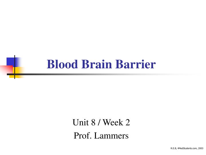 blood brain barrier