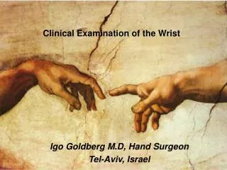 Igo Goldberg M.D, Hand Surgeon Tel-Aviv, Israel