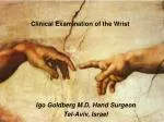 Igo Goldberg M.D, Hand Surgeon Tel-Aviv, Israel - slide 1