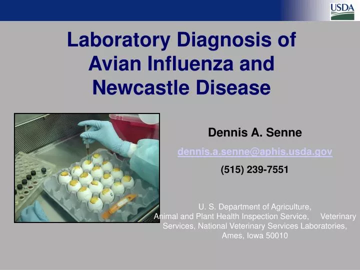 laboratory diagnosis of avian influenza and newcastle disease