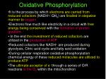 Oxidative Phosphorylation - slide 1