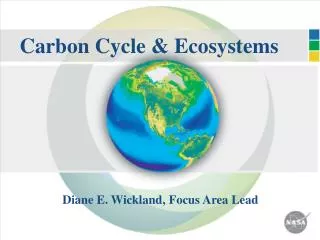Carbon Cycle &amp; Ecosystems