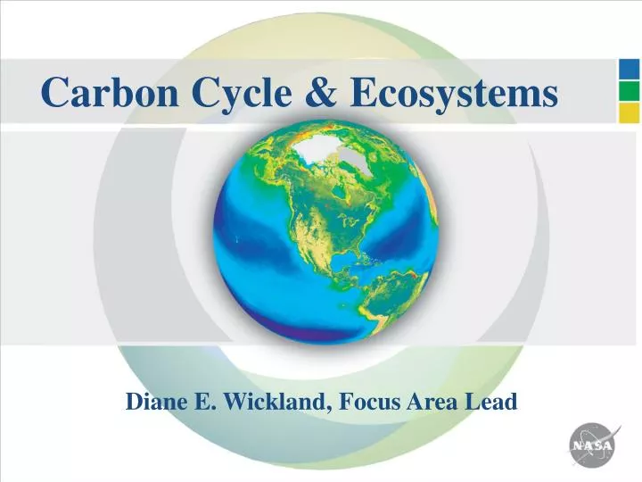 carbon cycle ecosystems