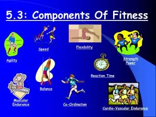 5.3: Components Of Fitness