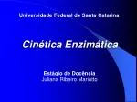 Universidade Federal de Santa Catarina - slide 1