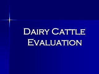 Dairy Cattle Evaluation