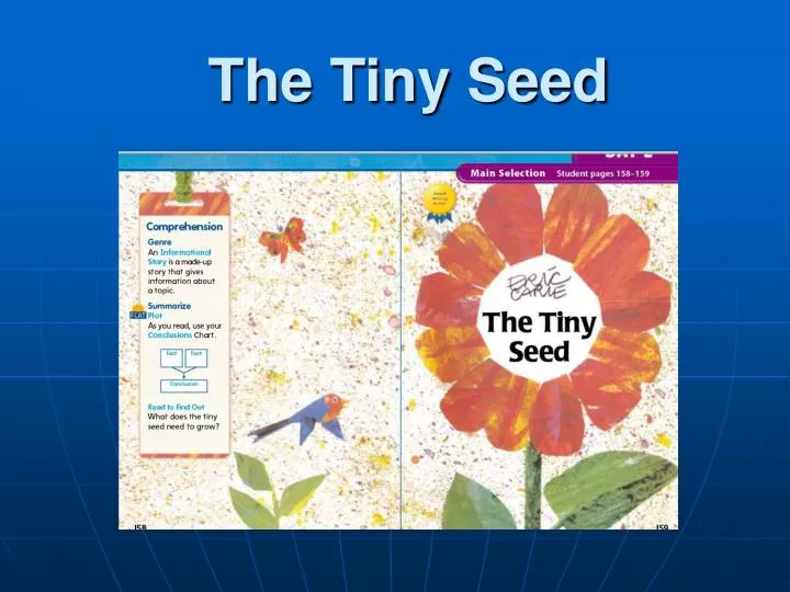 the tiny seed