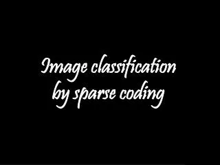 Image classification by sparse coding