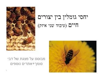 יחסי גומלין בין יצורים חיים ( עיבוד שני איזק)