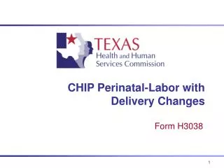 CHIP Perinatal-Labor with Delivery Changes
