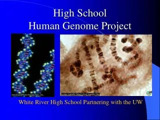 High School Human Genome Project