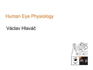 Human Eye Physiology
