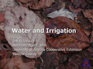 Water and Irrigation