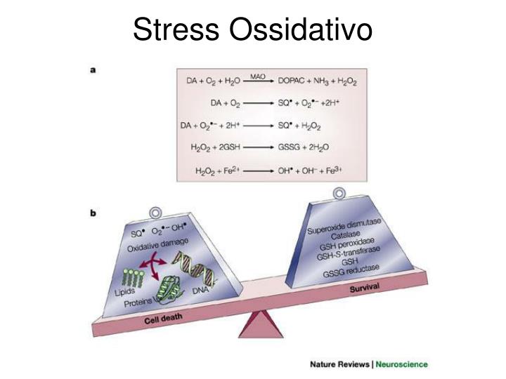 stress ossidativo