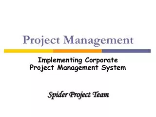 project management
