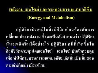 energy and metabolism