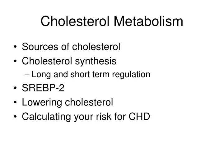 cholesterol metabolism