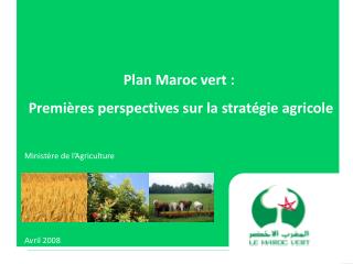 Plan Maroc vert : Premières perspectives sur la stratégie agricole