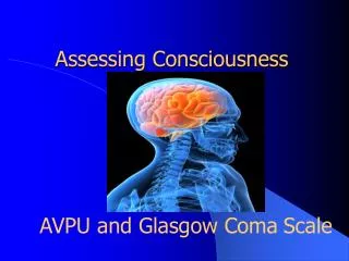 Assessing Consciousness