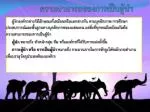ความสามารถของการเป็นผู้นำ - slide 1