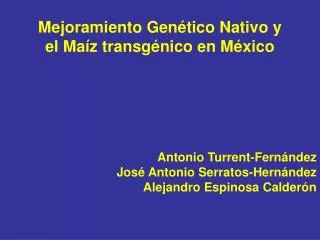 Mejoramiento Genético Nativo y el Maíz transgénico en México Antonio Turrent-Fernández José Antonio Serratos-Hernández