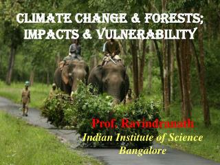Climate Change &amp; Forests; Impacts &amp; vulnerability