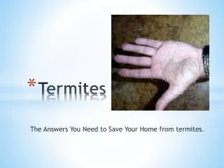 Termites - The Answers You Need to Save Your Home from termi