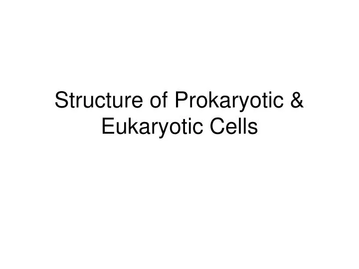 structure of prokaryotic eukaryotic cells
