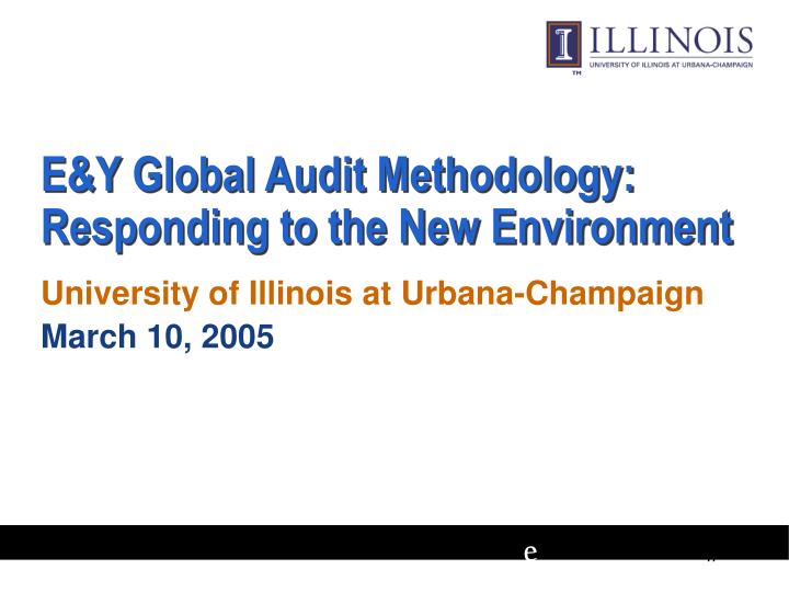 e y global audit methodology responding to the new environment