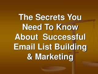 Professional Email List Building