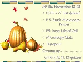 AP Bio November 12-13 CHPs 2-5 Test debrief P 5: finish Microscopy 		Primer P5: Inner Life of Cell Microscopy