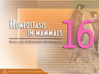 Importance of Homeostasis in Mammals