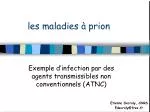 les maladies à prion - slide 1