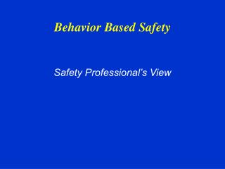 Safety Professional’s View
