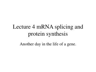 Lecture 4 mRNA splicing and protein synthesis