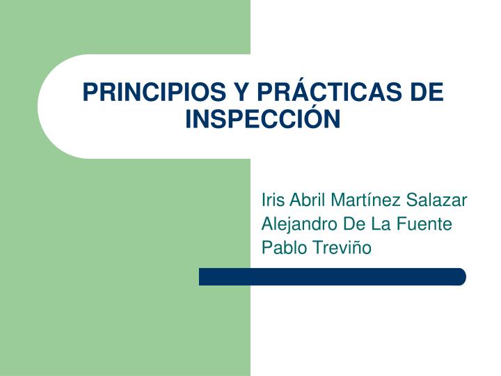 principios y pr cticas de inspecci n