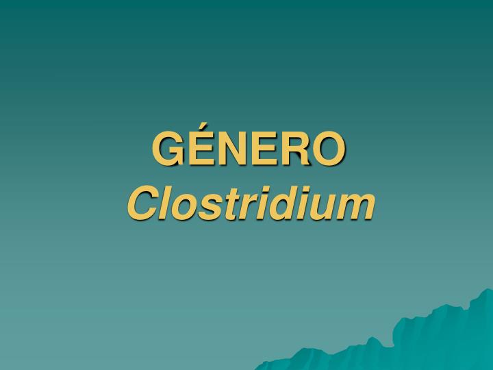 g nero clostridium
